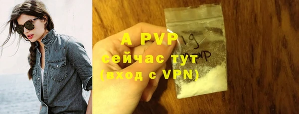 стаф Богородицк