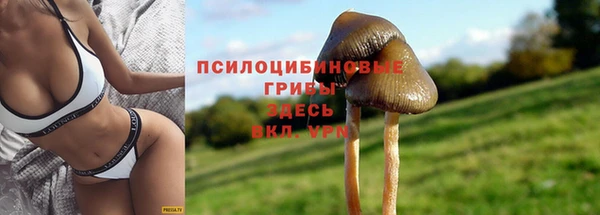 jwh Богородск