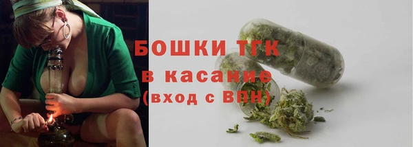стаф Богородицк