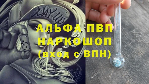 стаф Богородицк
