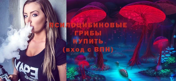 стаф Богородицк